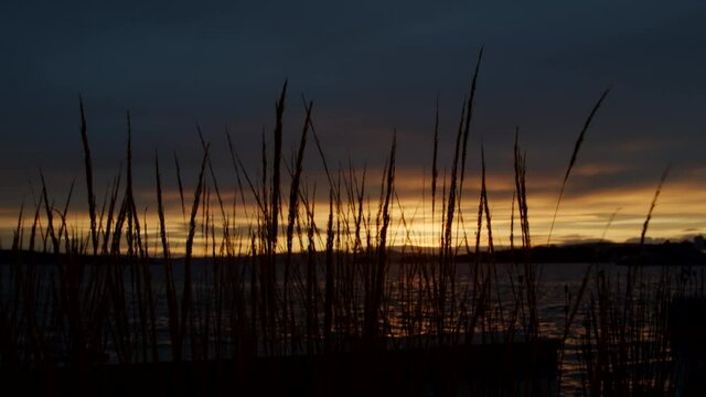 Entrepreneur businessman silhouette walking by waterfront during sunset on his independent walk of life in organic surroundings, slow motion