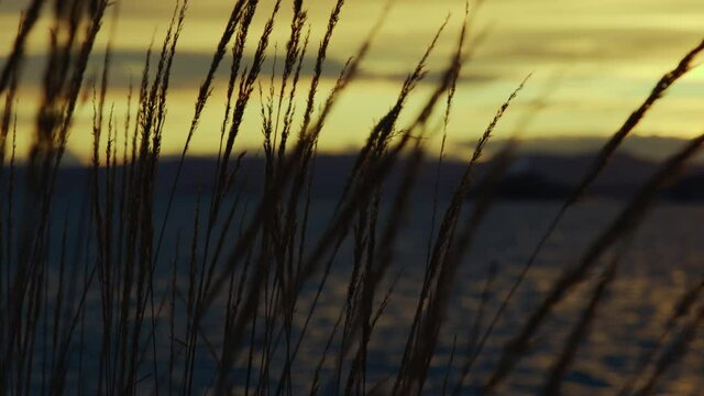 Two silhouette women walking on a stroll and talking together by seashore countryside during sunset at a peaceful summer evening discussing on their way at the pier harbour in a scandinavian city
