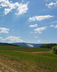 Crop fields with sprouting and growing plants in agriculture with mountains and water hose