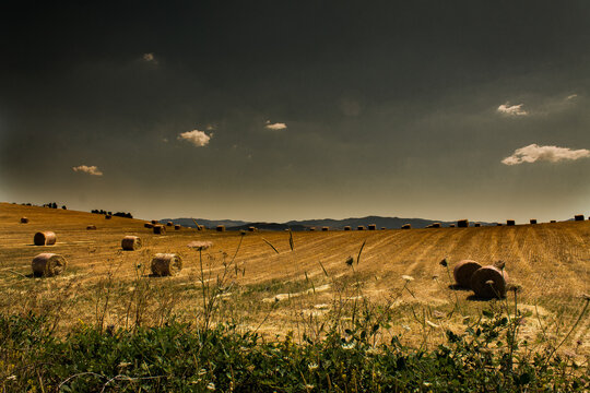 Moody Dark Farm Land With Hay And Grey Sky Industrialisation 