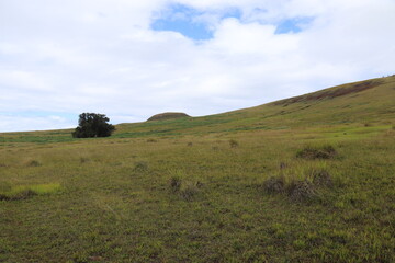 Prairie à l'île de Pâques