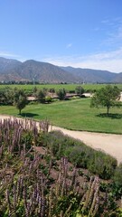 Panoramic view of the mountains and the winery