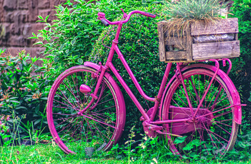 Fototapeta na wymiar A purple bike in front of green plants