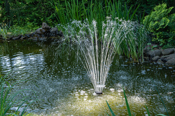 Evergreen landscaped garden with garden pond. Magic pond with cascading fountain against backdrop...