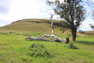 Colline volcanique à l'île de Pâques
