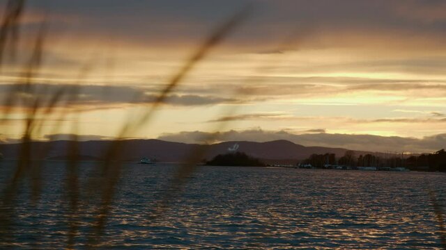 Peaceful shoreline in scandinavian nature with soft sunset sky, rack focus, natural feeling of beautiful European sea