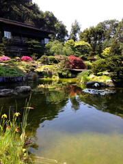 Naklejka premium Pond In Japanese Garden