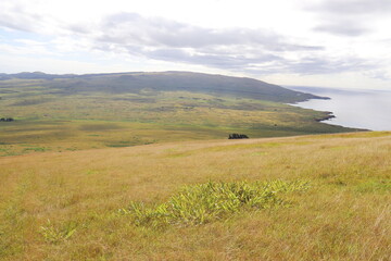 Prairie à l'île de Pâques