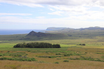 Prairie et bosquet à l'île de Pâques