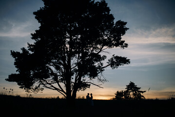 Beautiful sunset, a big tree in the field and a couple in love under a tree. Silhouette of a tree and a couple in love. Conceptual photo of love.