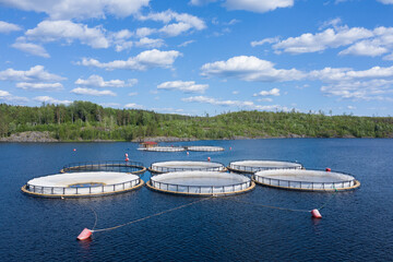 Aquaculture farms in Karelia, Russia