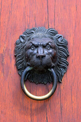 Brass lion on the door