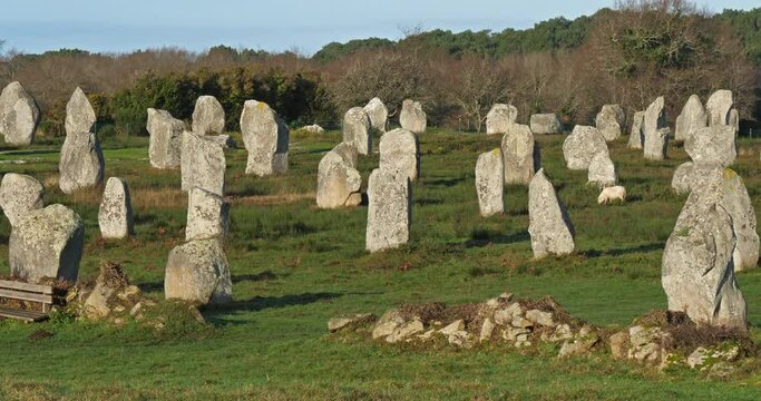 The stone alignments,Carnac, Morbihan, Brittany, France