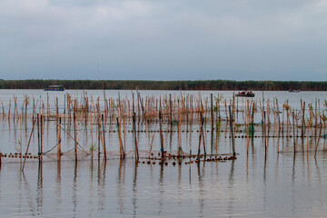 Sunset over Albufera freshwater lagoon