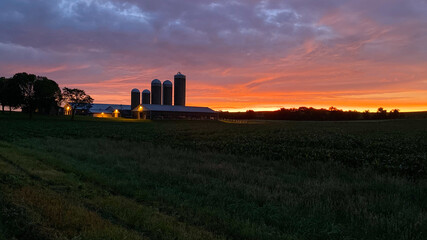 intense sunrise over dairy farm