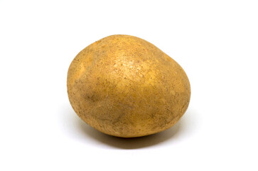 Fototapeta premium Brown potato on white background. Traditional vegetable isolate image. Single potato unpeeled photo closeup