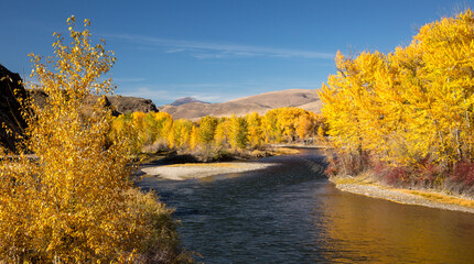 The Salmon River (River of No Return) during the fall season, north of Carmen, Idaho.