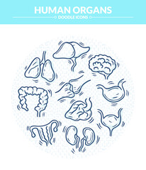 Human Organs Doodle Illustration and icon, Trendy and lovely hand drawn style isolated on white background 