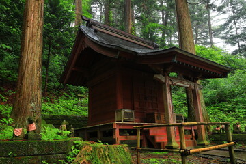 世界遺産　新緑の中尊寺