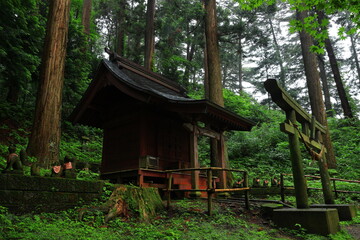 世界遺産　新緑の中尊寺