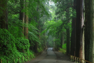 世界遺産　新緑の中尊寺