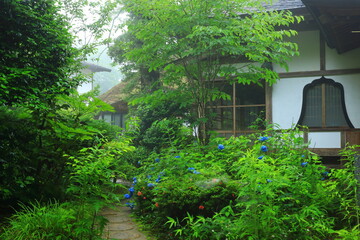 世界遺産　新緑の中尊寺