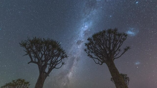 4K, 10BIT, YUV422 timelapse of milky way over Quiver tree in Namibia,Africa