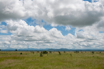 clouds over the field