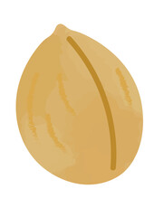 クルミのイラスト