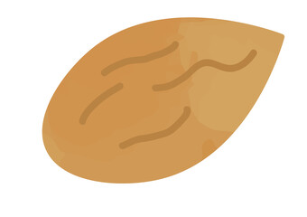 アーモンドのイラスト
