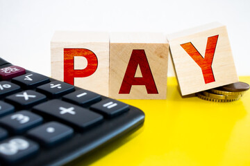 Wooden blocks with the text PAY and coins. Chart on background. Business and finance concepts.
