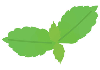 ペパーミントのイラスト