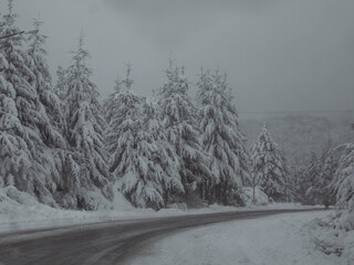 Obraz premium nieve