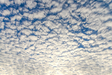 The blue sky and white fluffy clouds