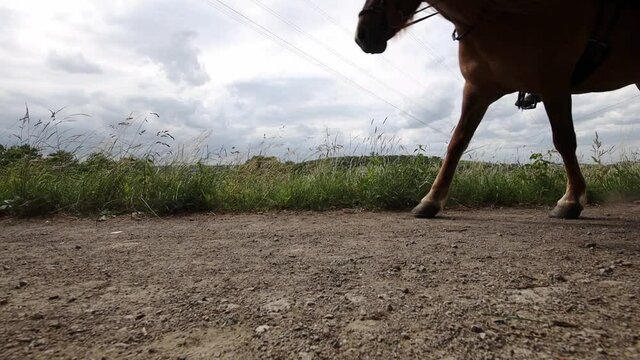 Horses ride past - taken from the side