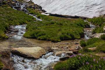 mountain stream on the trail to Mt Whitney, California