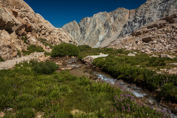 mountain landscape with stream