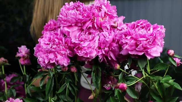 Beautiful summer garden flowers close-up.