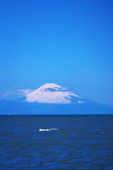 晴天の夏空に浮かぶ富士山