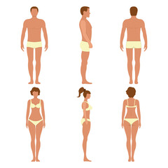 Male and female anatomy human character, people dummy front and view side body silhouette, isolated on white, flat vector illustration.