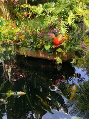 Fototapeta na wymiar japanese garden pond with flowers