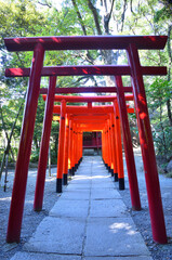 Fototapeta na wymiar 稲荷神社の紅い鳥居