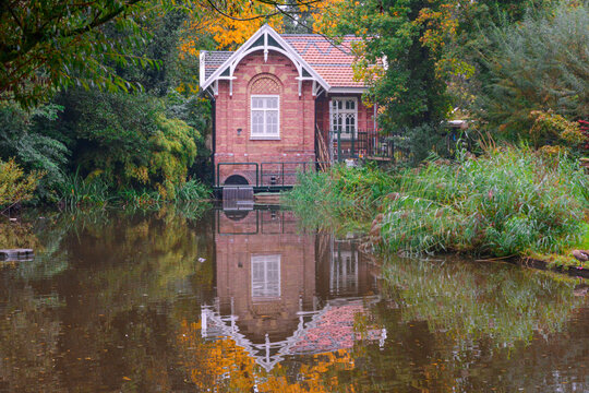 autumn in the park