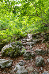 Hiking Path Via Ferrata at the Weichtalklamm in Lower Austria