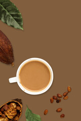 Cocoa beans in pods on a white background