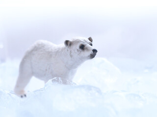 氷とシロクマ