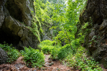 Hiking Path Via Ferrata at the Weichtalklamm in Lower Austria