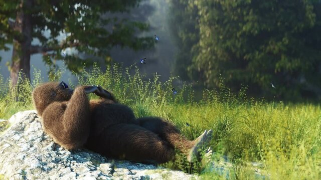 funny gorilla idle in forest. Realistic 4k animation.
