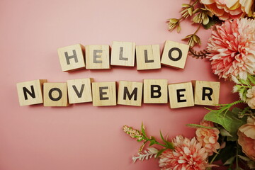 Hello November alphabet letter with space copy on pink background © may1985
