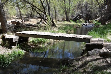 Fototapeta na wymiar wooden foot bridge over a stream